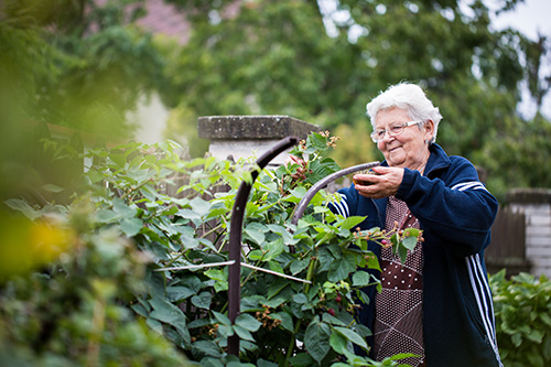 Mitarbeiterin bei der Gartenpflege im Haus Schöne Aussicht