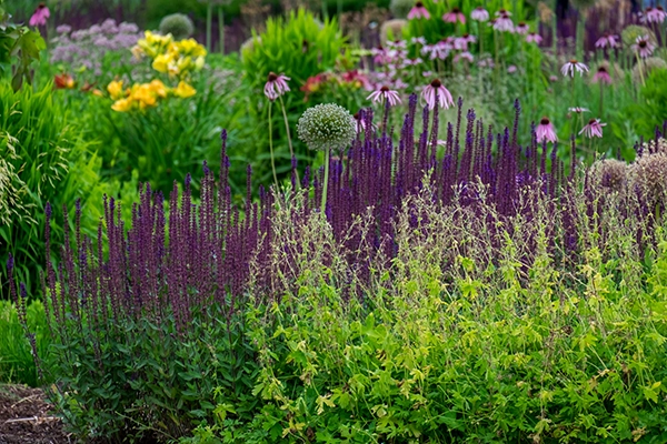 Gepflegter Garten mit Spazierwegen